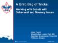 A Grab Bag of Tricks: PowerPoint PPT Presentation