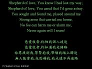 (1) Shepherd of Love ????