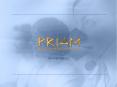 PRIAM Demonstration PowerPoint PPT Presentation