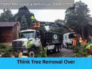 Think Tree Removal Over