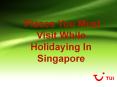 4 Places You Must Visit While Holidaying In Singapore PowerPoint PPT Presentation