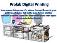 Fine Art Digital Prints