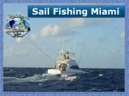 Sail fishing Miami