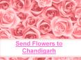 Send Flowers to Chandigarh PowerPoint PPT Presentation