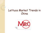 Lettuce Market Trends in China