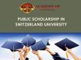 Public Scholarship in SWITZERLAND UNIVERSITY PowerPoint PPT Presentation
