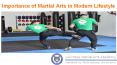 Importance of Martial Arts in Modern Lifestyle PowerPoint PPT Presentation