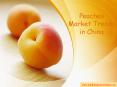 Peaches Market Trends in China PowerPoint PPT Presentation