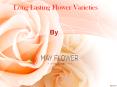 Long lasting flower varieties PowerPoint PPT Presentation