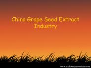 China Grape Seed Extract Industry