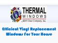 Efficient Vinyl Replacement Windows For Your House PowerPoint PPT Presentation