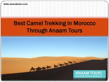 Best camel trekking in morocco through Anaam tours