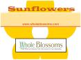 Wholesale Sunflowers - www.wholeblossoms.com PowerPoint PPT Presentation