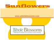 Wholesale Sunflowers - www.wholeblossoms.com