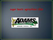Adam Family Farm Agriculture