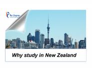 Why study in New Zealand