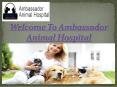 Ambassador Animal Hospital- Finest veterinarian amenities in windsor PowerPoint PPT Presentation
