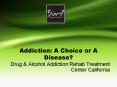 Addiction: A Choice or A Disease? PowerPoint PPT Presentation