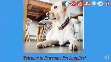 Cat Towers for Large Cats