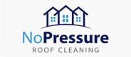 Roof Cleaning Is Not Your Cup of Tea