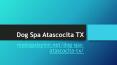 Dog Spa Atascocita TX PowerPoint PPT Presentation