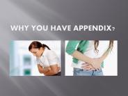 What is appendix and how to get rid of
