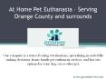 Home Pet Euthanasia PowerPoint PPT Presentation