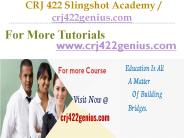 CRJ 422 Slingshot Academy / crj422genius.com