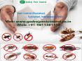 Best Termite Treatment Ghaziabad by Godrej Pest Control PowerPoint PPT Presentation