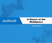 A Glance at the WebSphere