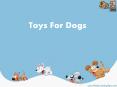 Toys For Dogs PowerPoint PPT Presentation