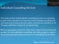 Individual Counseling Service PowerPoint PPT Presentation