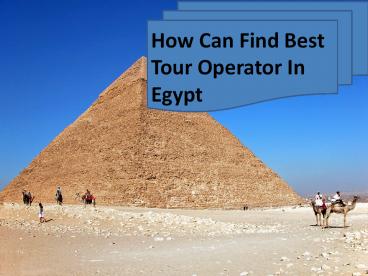 How Can Find Best Tour Operator In Egypt