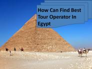 How Can Find Best Tour Operator In Egypt