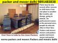 packer and mover delhi   9891483838