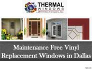 Maintenance Free Vinyl Replacement Windows in Dallas