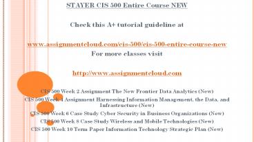 STAYER CIS 500 Entire Course NEW