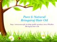 Pure & Natural Bringaraj Hair Oil PowerPoint PPT Presentation