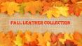 More Colors For This Fall Fashion ! PowerPoint PPT Presentation