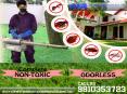 Termite pest control services in Gurgaon to eradicate the uninvited pests. Call 9810353723. PowerPoint PPT Presentation
