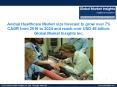 Animal Healthcare Market size forecast to reach $45bn by 2024 PowerPoint PPT Presentation