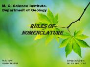 Rules of nomenclature