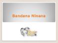 Bandana Ninana PowerPoint PPT Presentation