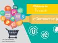 E-Commerce Development Company in Hyderabad | Innasoft PowerPoint PPT Presentation