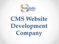 CMS Website Development Company PowerPoint PPT Presentation