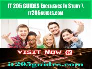 IT 205 GUIDES Excellence In Study \ it205guides.com