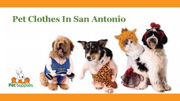 Pet Clothes In San Antonio