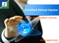 Searching for Certified Ethical Hacker PowerPoint PPT Presentation