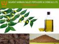 Dynamite Benefits of the Neem oil PowerPoint PPT Presentation