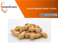 China Peanuts Market Trends : Industry Analysis,Growth, Update and Overview PowerPoint PPT Presentation